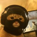 Tenshiii Avatar, Tenshiii Profilbild