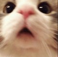 Profilbild FreeDJMoney, Avatar