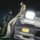 User Bleno12-, Profilbild, Avatar