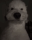 Profilbild Berin, Avatar