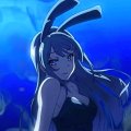 Profilbild SubmitNow, Avatar