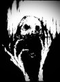 Terge Avatar, Terge Profilbild